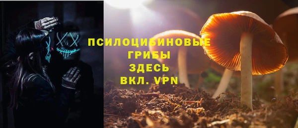 соль курить ск Балабаново