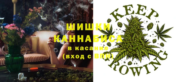 ешки Семилуки